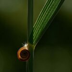 Lire la suite à propos de l’article Synthèse de l&rsquo;AG#3 du 11/04/2026